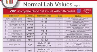 Image result for 5S in Laboratory