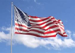 Image result for TVP American Flag