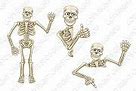 Image result for Human Skeleton Cartoon