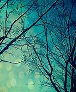 Image result for Brilliant Trees