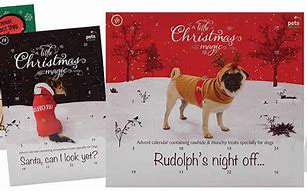 Image result for Funny Small Dog Calendars