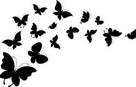 Image result for Black and White Butterfly Design Vector
