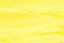 Image result for Pale Yellow Computer Wallpaper
