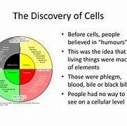 Image result for Robert Hooke Cell Theory