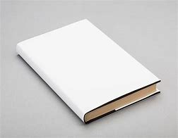 Image result for Blank Book Page Style