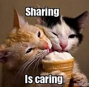 Image result for Memes About Sharing