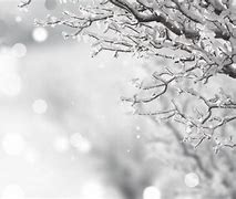 Image result for White Holiday Background