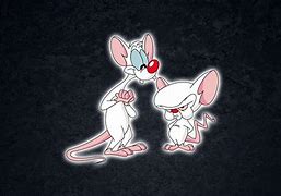 Image result for Dark Pinky and Future Brain