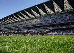 Image result for Car Park 10 Ascot Racecourse