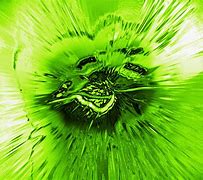 Image result for Green Burst Free Image