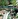 Image result for Giant Panda Adelaide Zoo