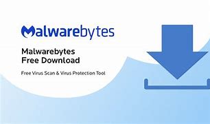 Image result for Malwarebytes Free Download Windows 11
