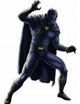 Image result for Batman Forever Panther Suit