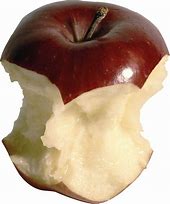 Image result for Apple Bite