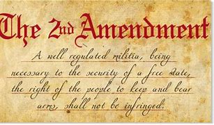 Image result for 2nd Amendment Guns Cartoon
