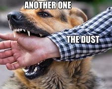 Image result for Funny Dust Memes