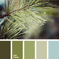Image result for Olive Green Paint Samples