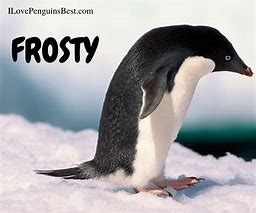 Image result for Cute Penguin Names