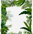 Image result for Jungle Tree SVG