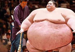 Image result for Fat Sumo Wrestling