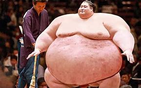 Image result for Sumo Wrestler Physique