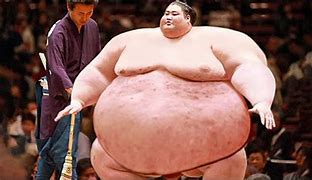 Image result for Black Sumo Wrestler
