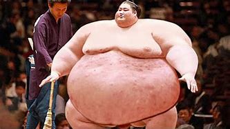 Image result for Funny Sumo Wrestler