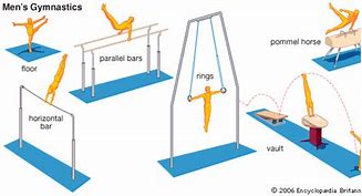 Image result for List 10 Gymnastics Apparatus