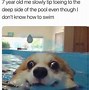 Image result for Lonely Meme in Pool