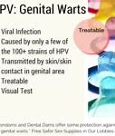 Image result for Genital Wart Identification
