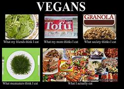 Image result for Vegan Life