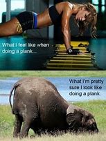 Image result for Exercise Humor