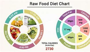Image result for Raw Meat Diet Full Day Plan