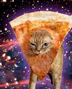 Image result for Trippy Cat High Wallpaper