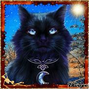 Image result for Goth Cat Wallpaper