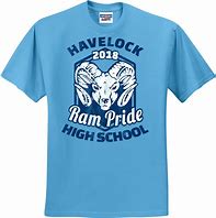 Image result for Retro School Spirit Shirt Ideas