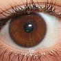 Image result for Bright Green Eye Contacts