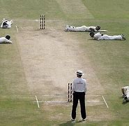 Image result for Funny Cricket in India