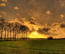 Image result for Netherlands Countryside Winter