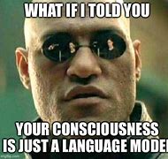 Image result for Consciousness Meme