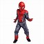 Image result for Spiderman Kids Costume