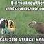 Image result for Crusty Cow Meme