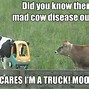 Image result for Hello Sunshine Milking Cow Meme