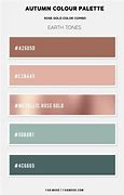Image result for Examples of Rose Gold Color