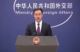 Image result for site:www.globaltimes.cn