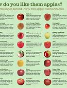 Image result for Apple Fruit Identification
