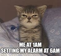 Image result for Wake Up Cat Meme