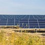 Image result for Green Energy Power Plant