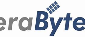Image result for Terabyte Services Logo
