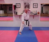 Image result for Martial Arts Images